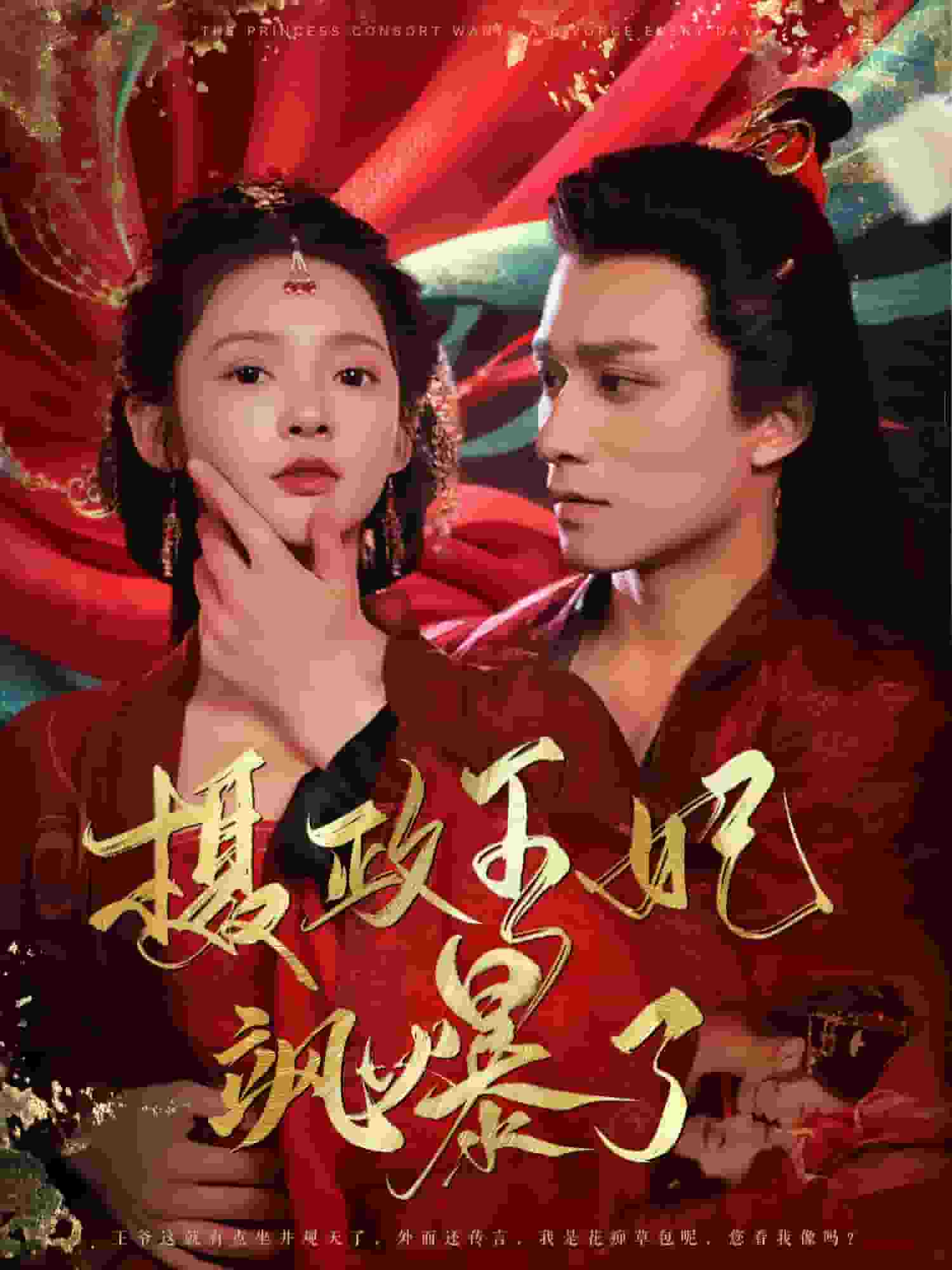 摄政王妃飒爆了第33集