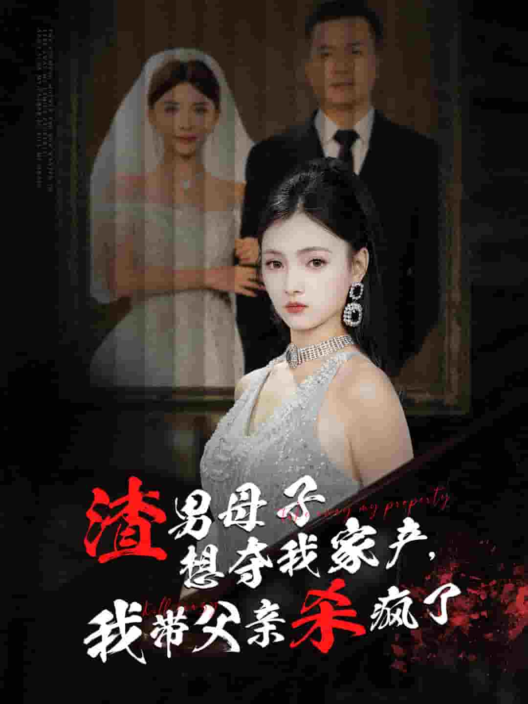 渣男母子想夺我家产我带父亲杀疯了第14集