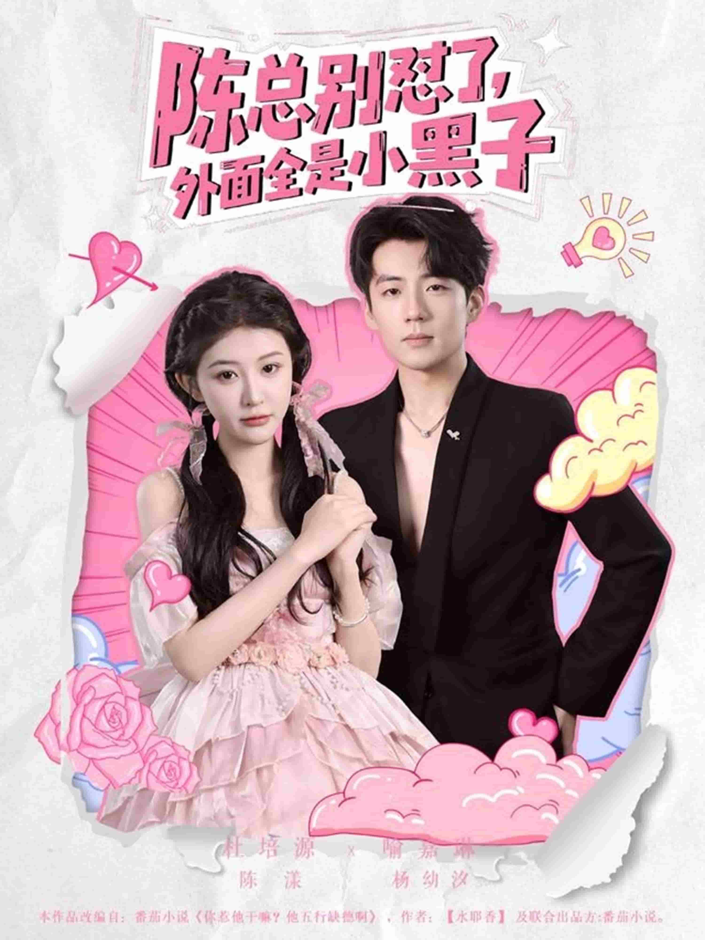 陈总别怼了外面全是小黑子第04集
