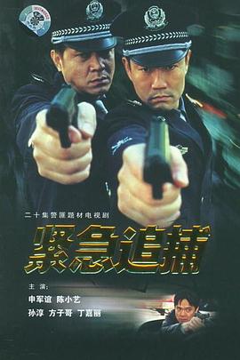 紧急追捕第12集