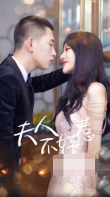 夫人不好惹第33集