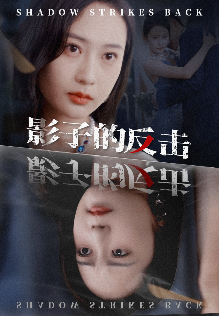 影子的反击第14集