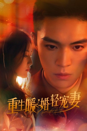 重生暖婚轻宠妻短剧第41集