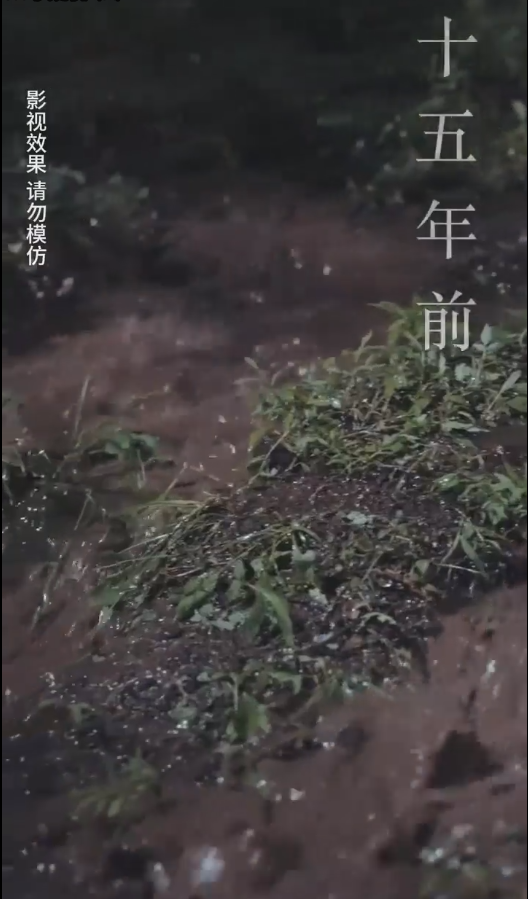 云深见朝阳第52集