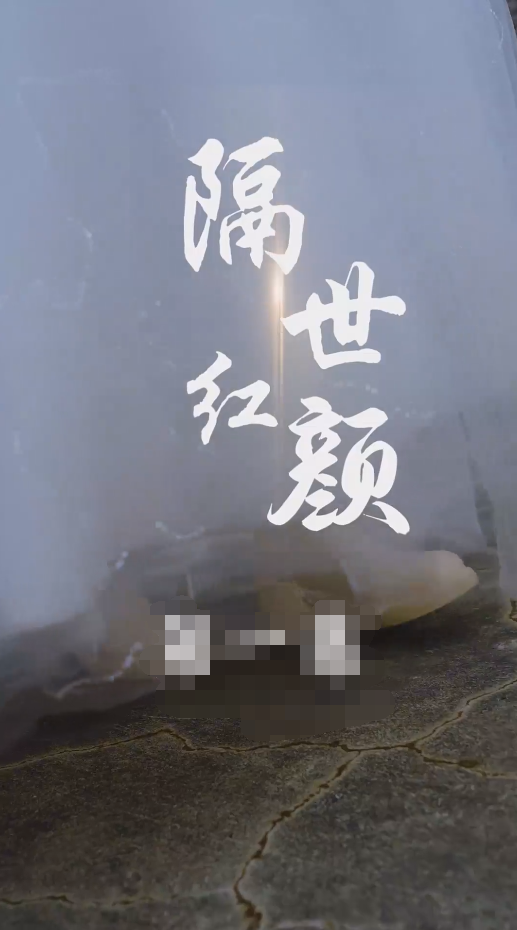 隔世红颜第63集