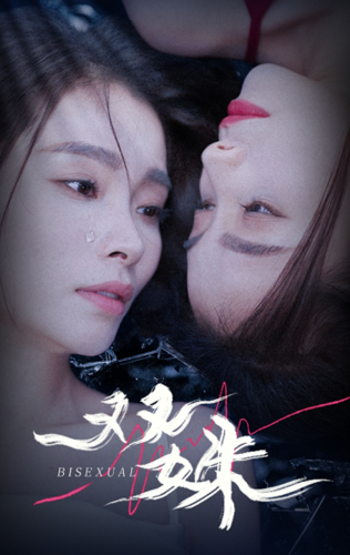双姝第11集