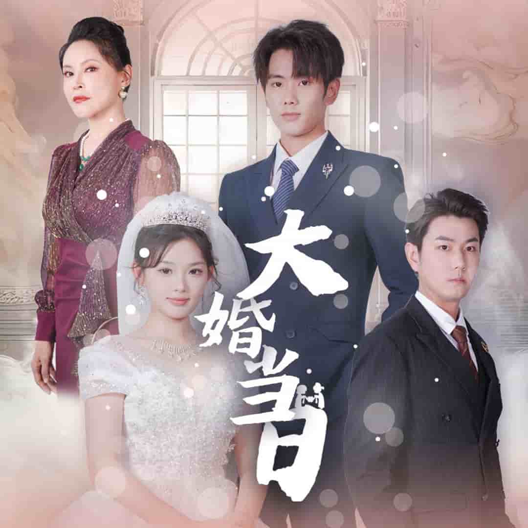 大婚当日第45集