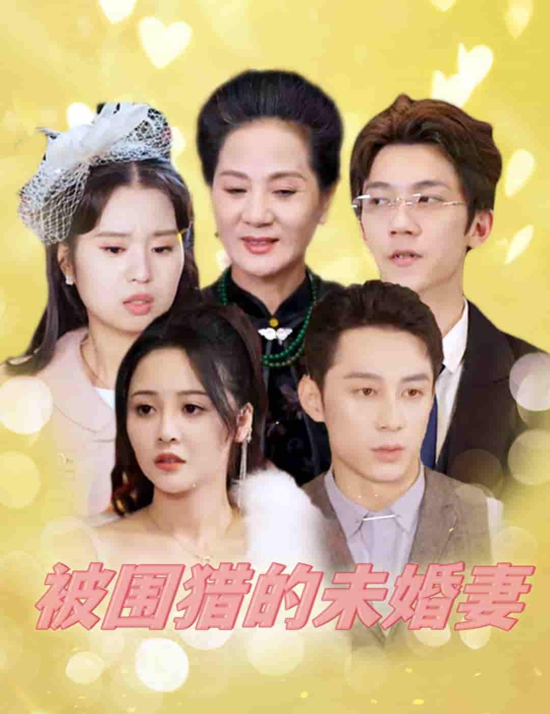 被围猎的未婚妻第36集