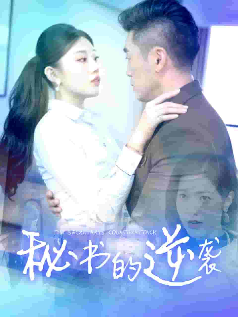 秘书的逆袭第39集