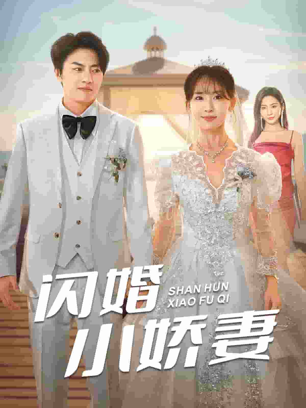 闪婚小娇妻第99集