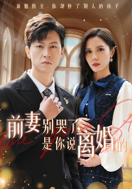 前妻别哭了是你说离婚的第10集