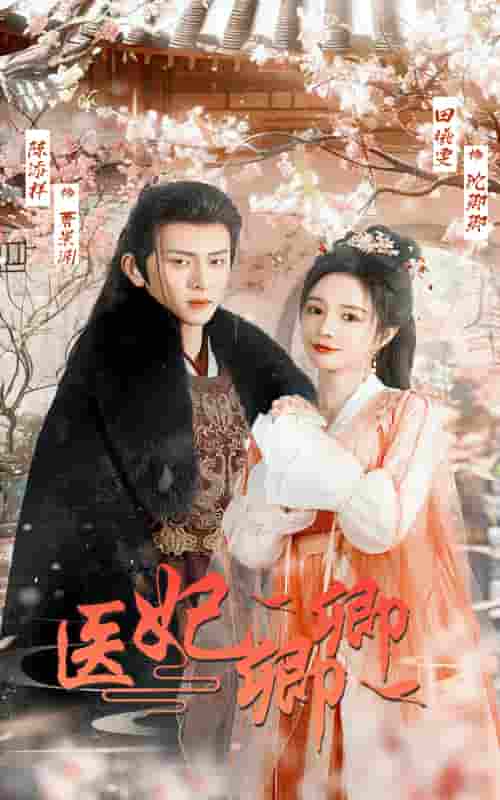 医妃卿卿第32集