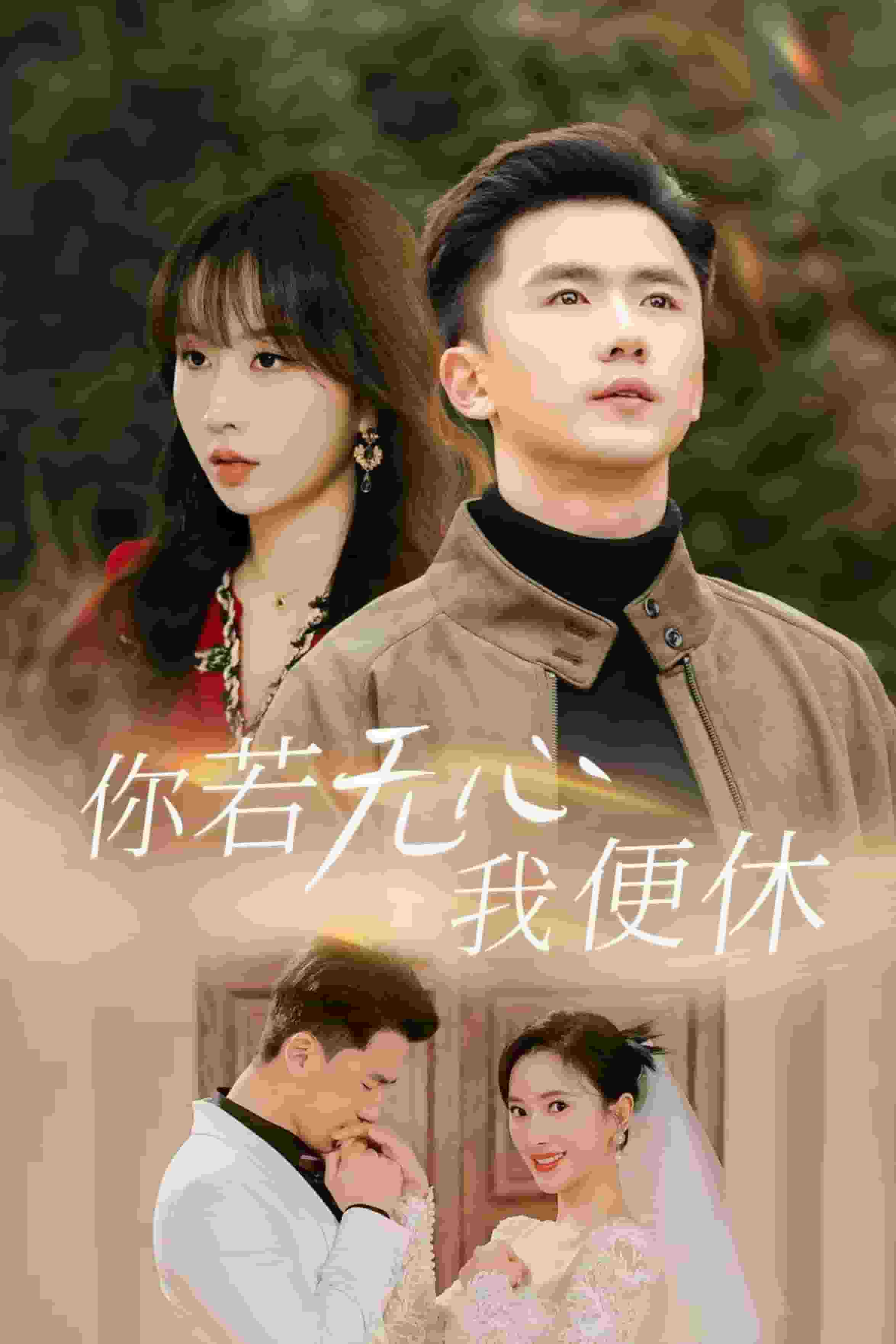 你若无心我便休第12集