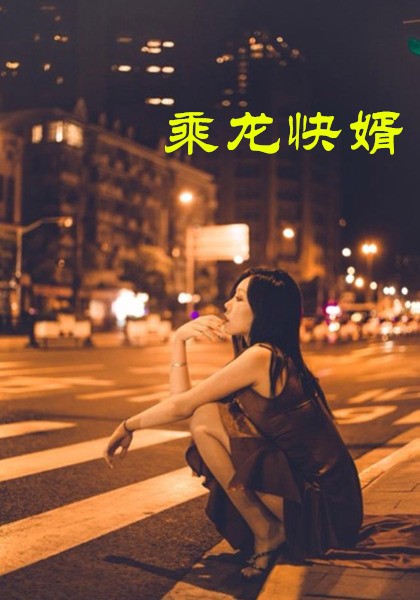 乘龙快婿第30集(大结局)