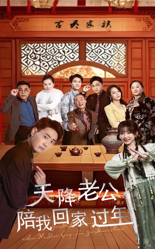 天降老公陪我回家过年第14集