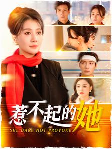 惹不起的她第39集