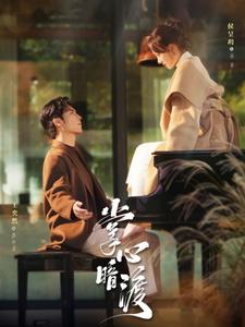 掌心暗渡第31集