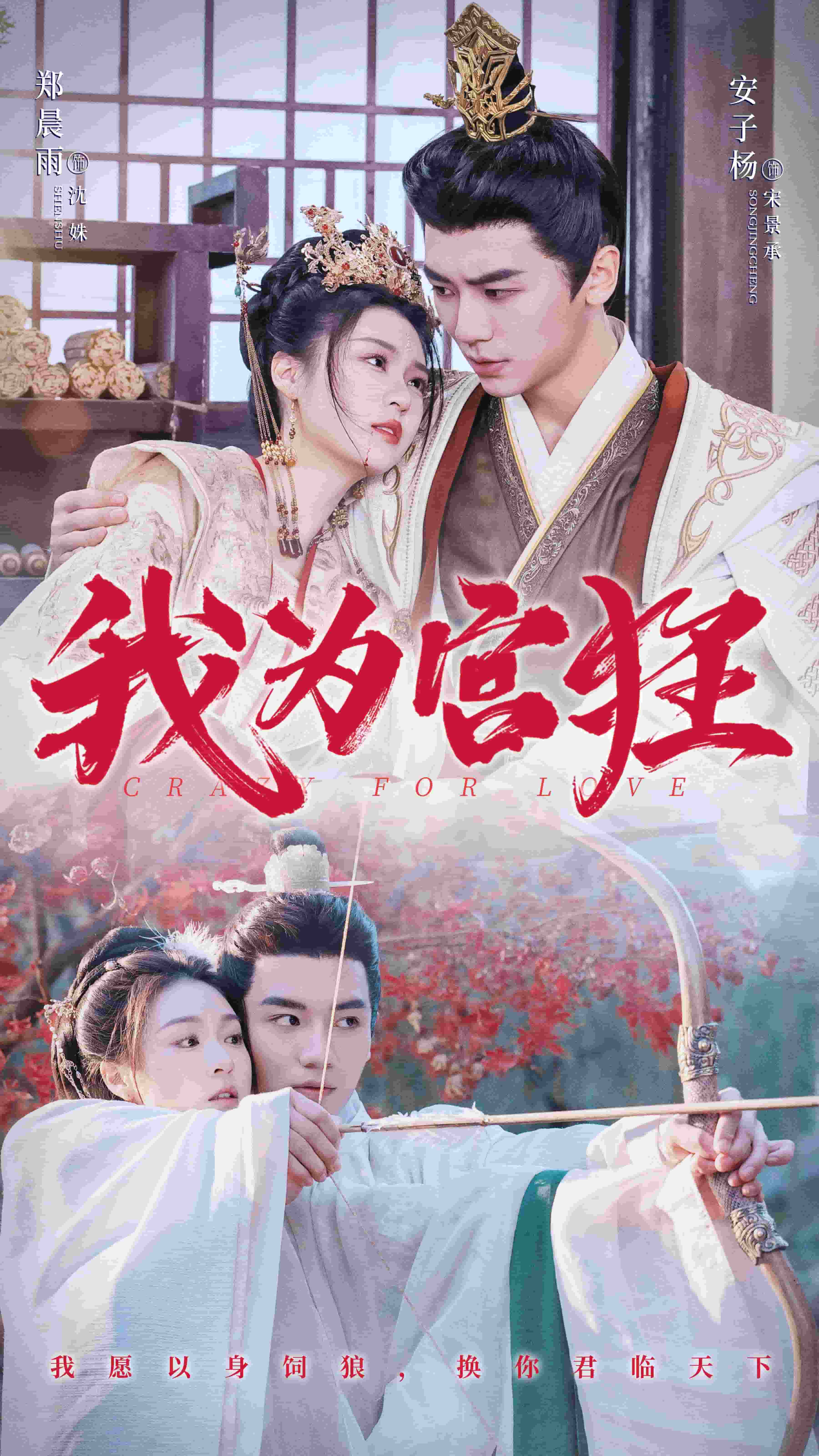 我为宫狂第52集
