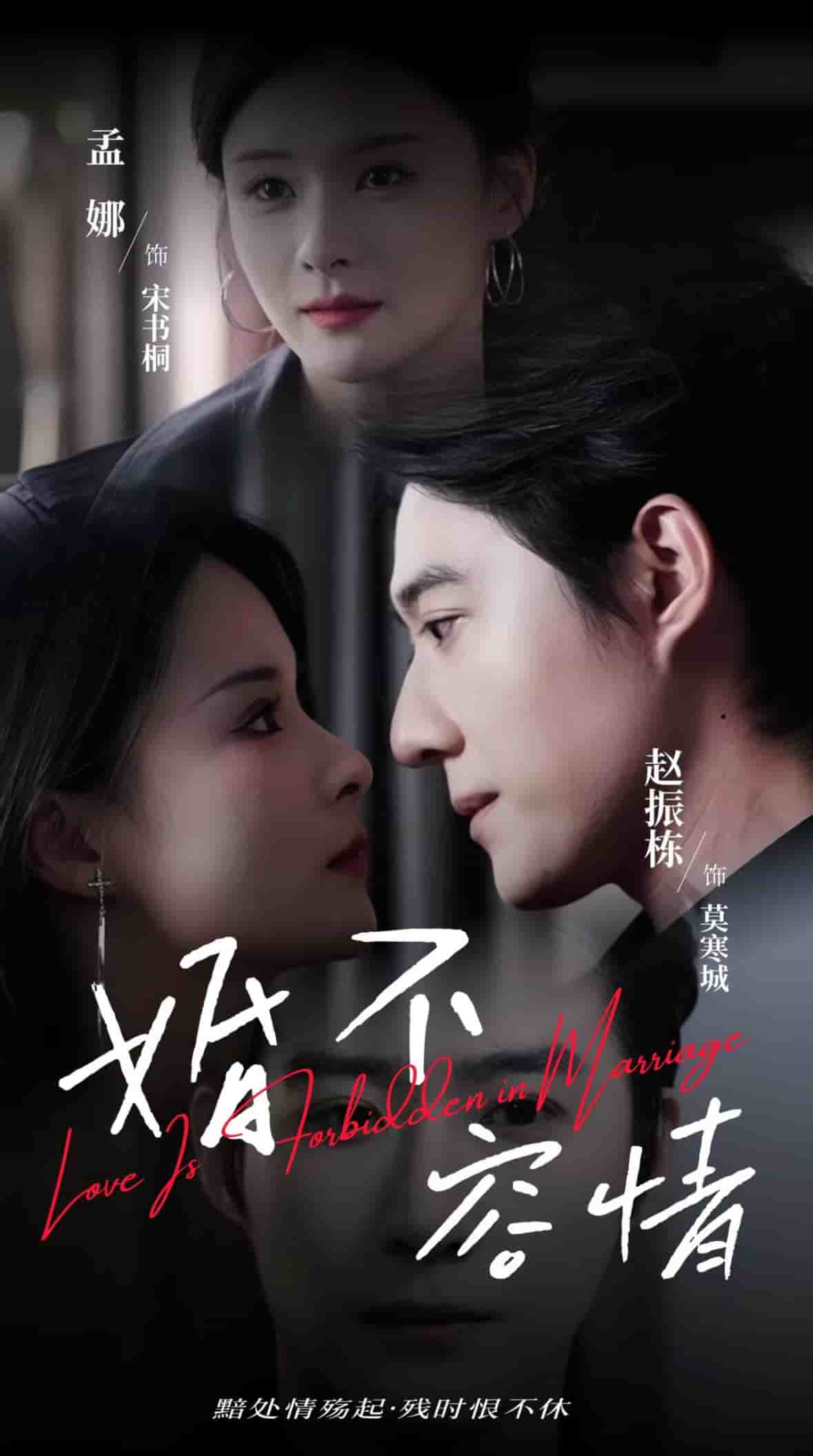 婚不容情第14集