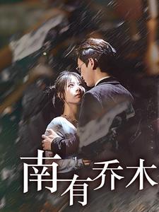 南有乔木第24集