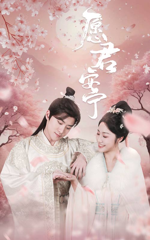 愿君安宁第1集