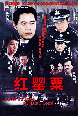 红罂粟第17集