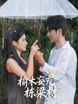 榆木妄充栋梁材(全集)