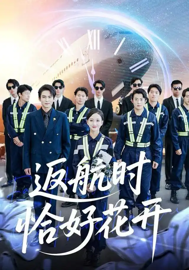 返航时恰好花开(全集)