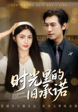 时光里的旧承诺 重逢是场盛大告白(全集)