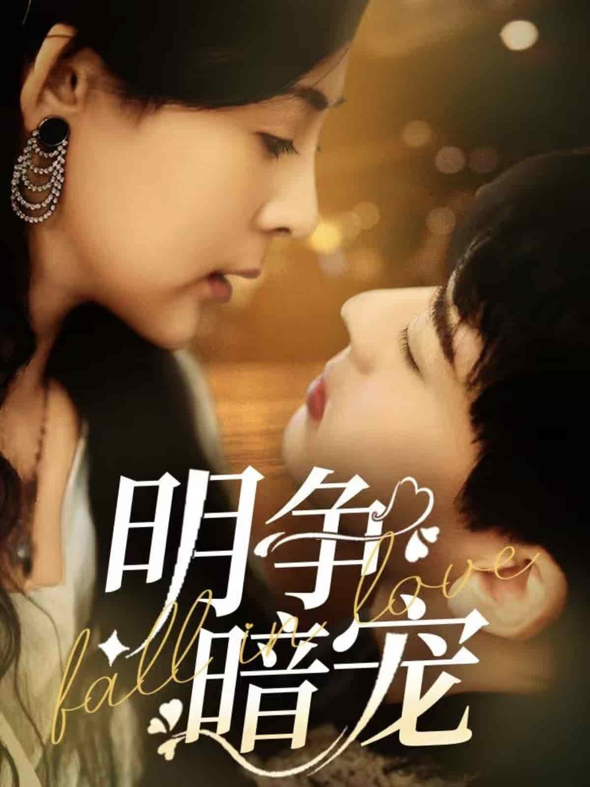 明争暗宠(全集)