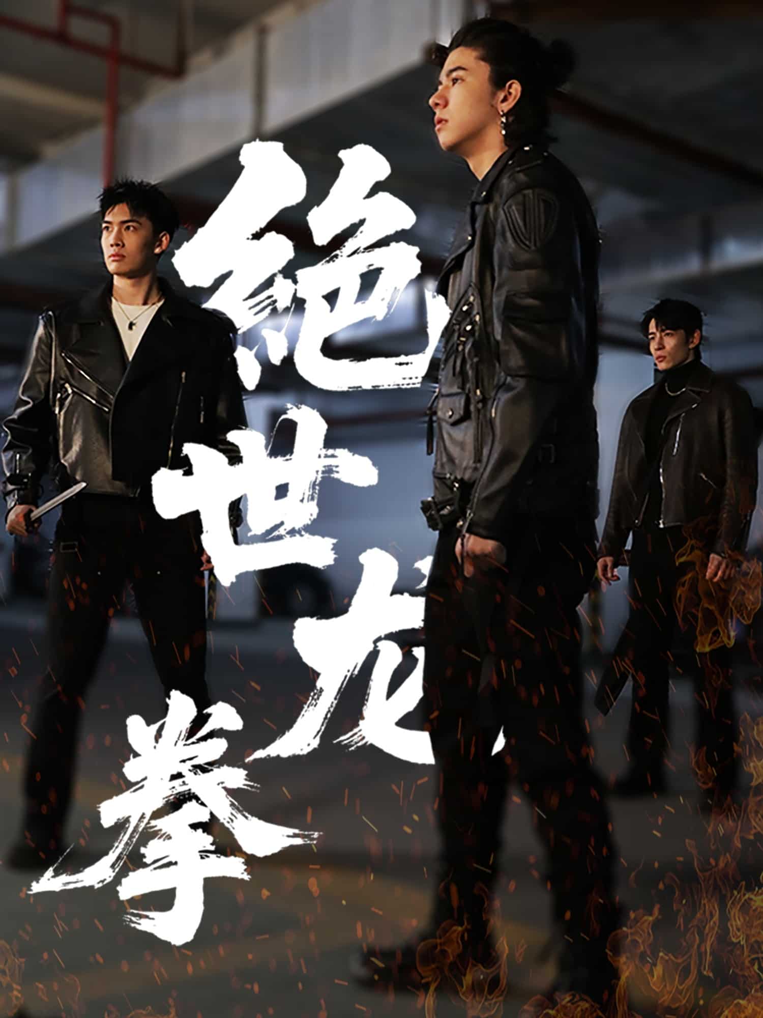 绝世龙拳(全集)