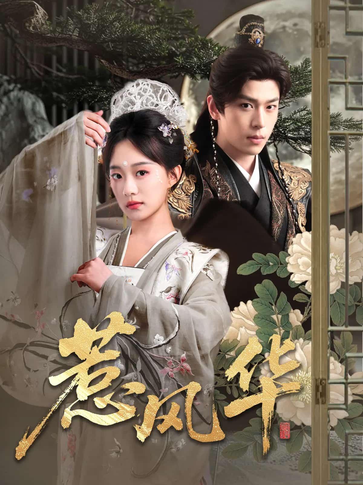 惹风华(全集)