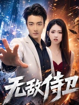 无敌侍卫(全集)