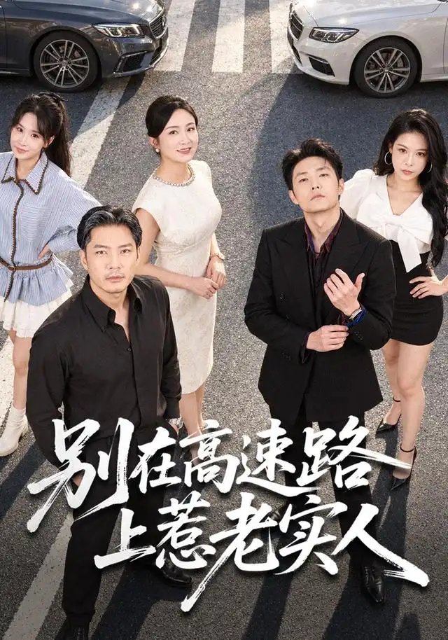 别在高速路上惹老实人(全集)