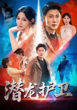 潜龙护卫(全集)